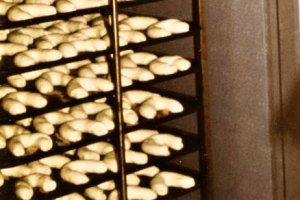 Výroba loupáčků v roce 1991.