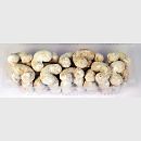 vanilkové rohlíčky vanilkové rohlíčky